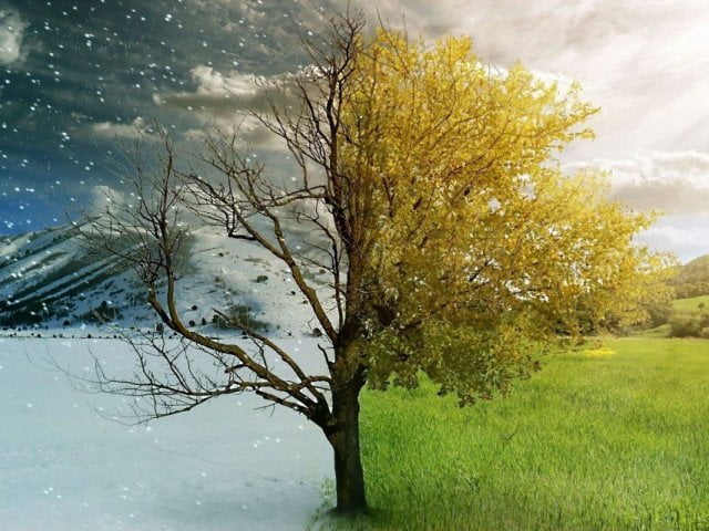 Curta "Partly Cloudy": Por Que o Diferente é Necessário? 2 image 29