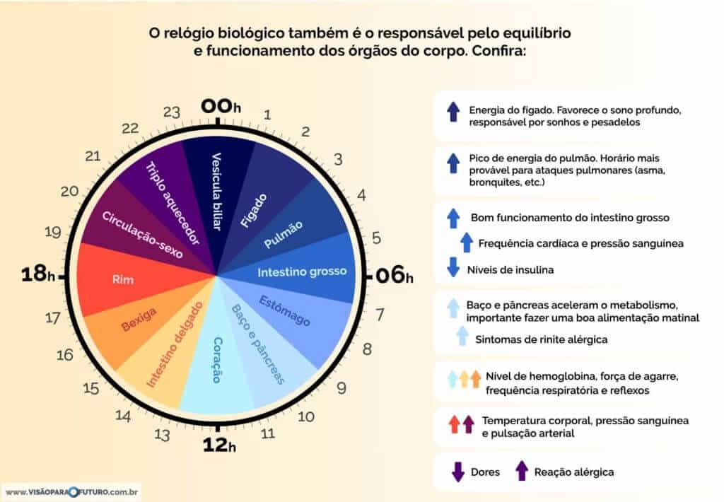 Você Conseguiria Viver Sem Saber Que Horas São? 5 image 31