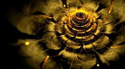 Livro "O Segredo da Flor de Ouro": Entre Ciência e Espiritualidade 3 image 6