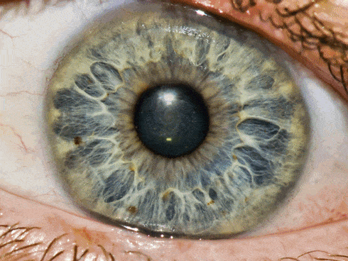 As Mudanças na Natureza com a Pandemia de COVID-19 5 image 1