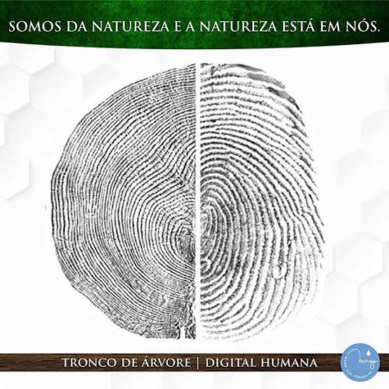 Como a Natureza Está em Nós: A Relação Profunda Entre Ser Humano e Universo 1 image 44