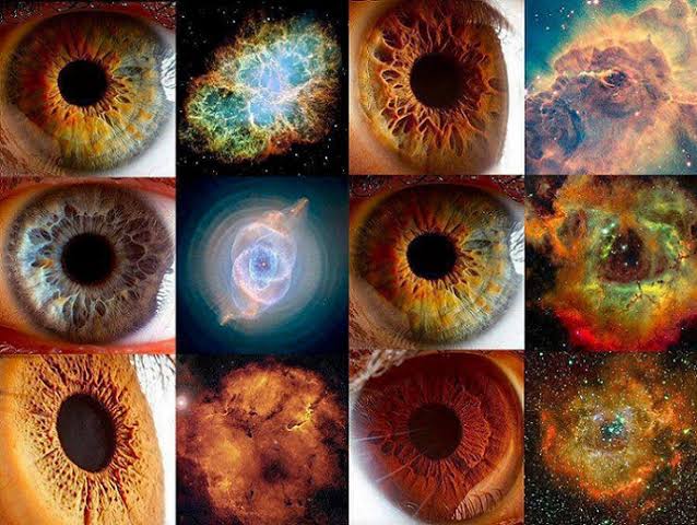Como a Natureza Está em Nós: A Relação Profunda Entre Ser Humano e Universo 3 image 46