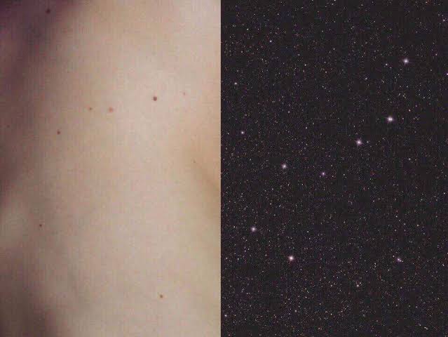 Como a Natureza Está em Nós: A Relação Profunda Entre Ser Humano e Universo 4 image 47