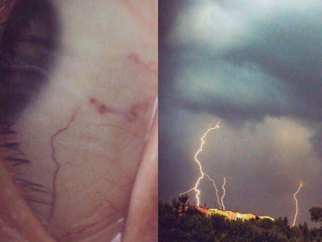 Como a Natureza Está em Nós: A Relação Profunda Entre Ser Humano e Universo 6 image 49