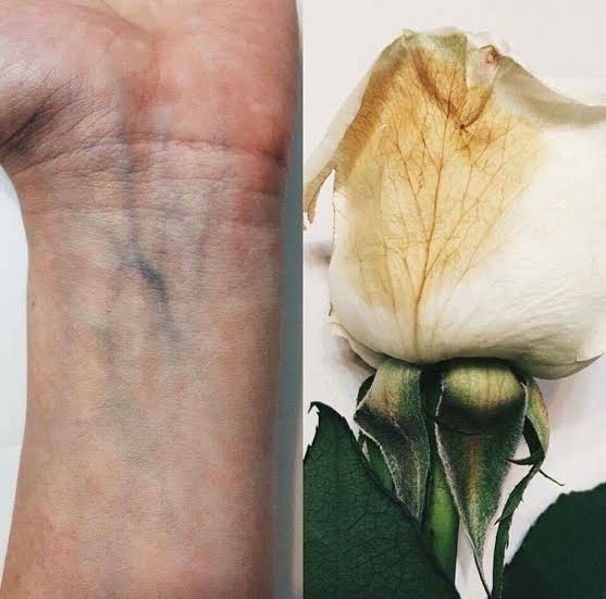 Como a Natureza Está em Nós: A Relação Profunda Entre Ser Humano e Universo 7 image 50