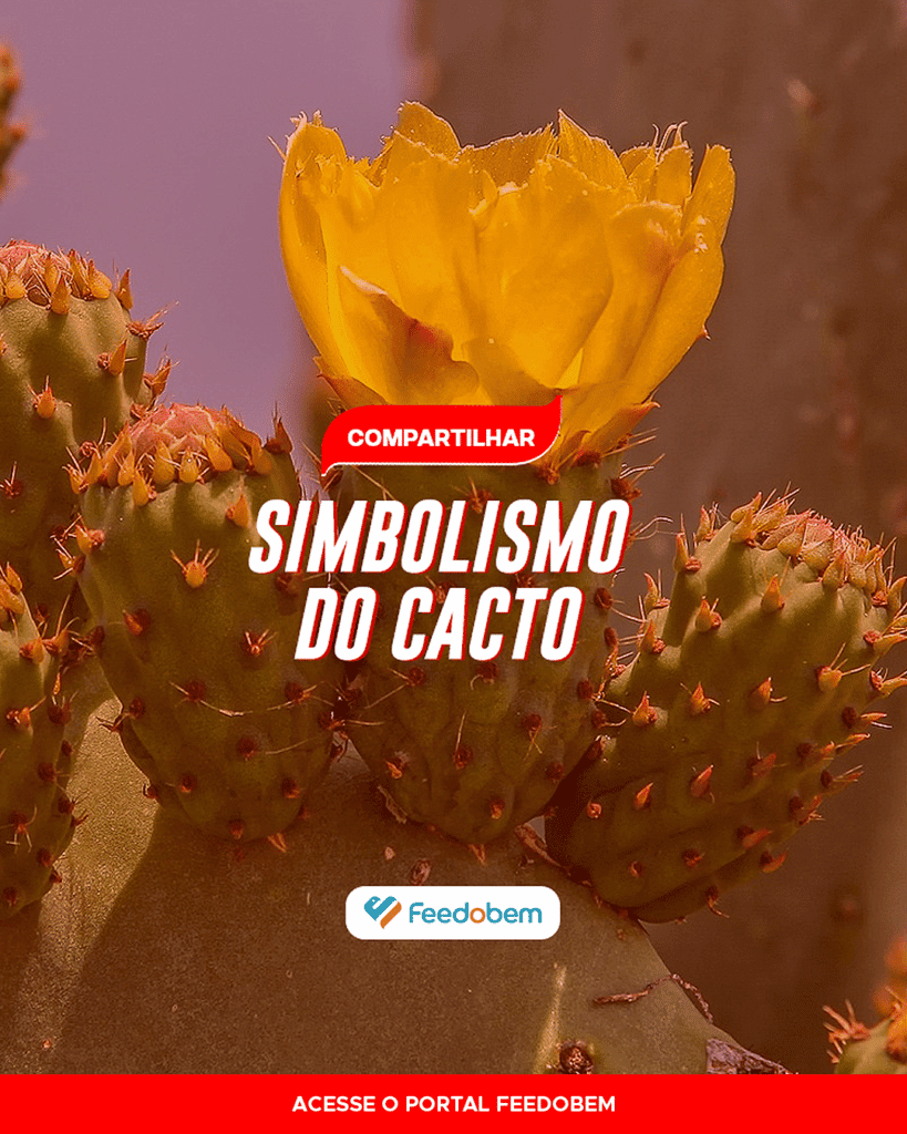 Podcast Infantil, A Flor e O Cactus