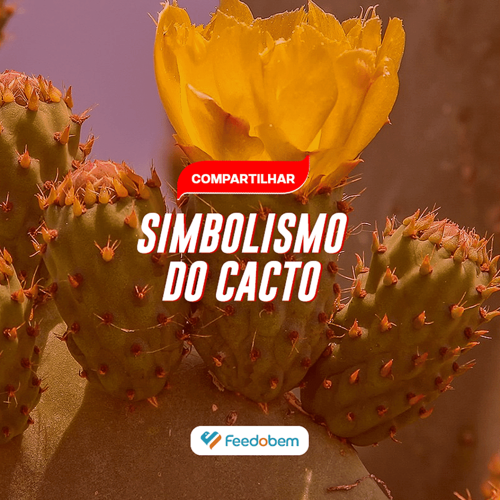 EVENTOS 3 Simbolismo do Cacto