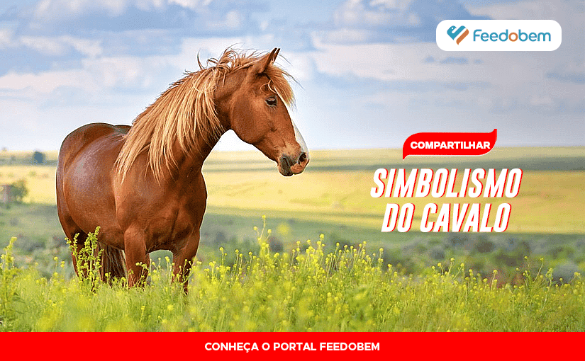 O cavalo correndo, animal, biológico png