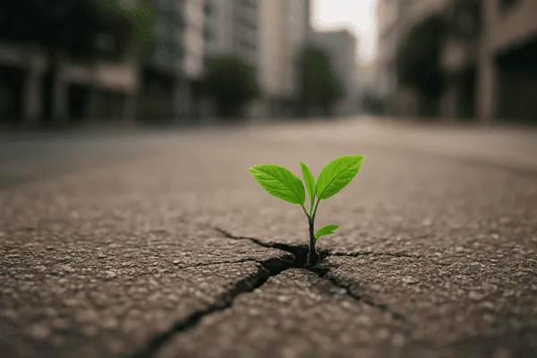 Equinócio de Primavera: Significado, Simbolismo e Renovação da Vida 1 Planta brotando no concreto como símbolo de renovação da vida