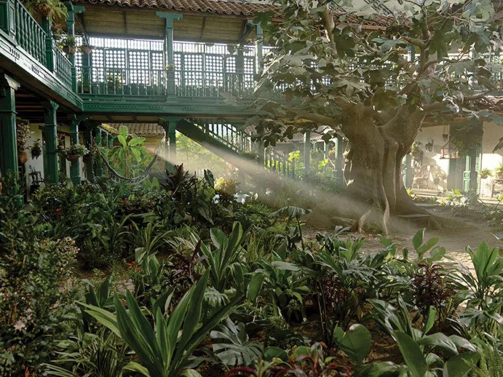 Cem anos de solidao imagem 4