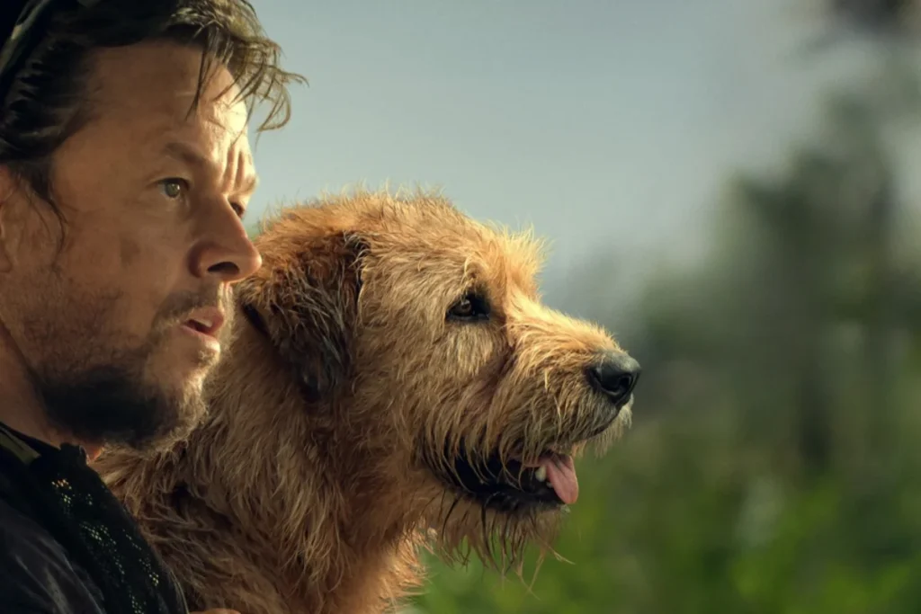 Filme "Uma Prova de Coragem": Redefinindo o Significado de Vencer 4 uma prova de coragem filme 1