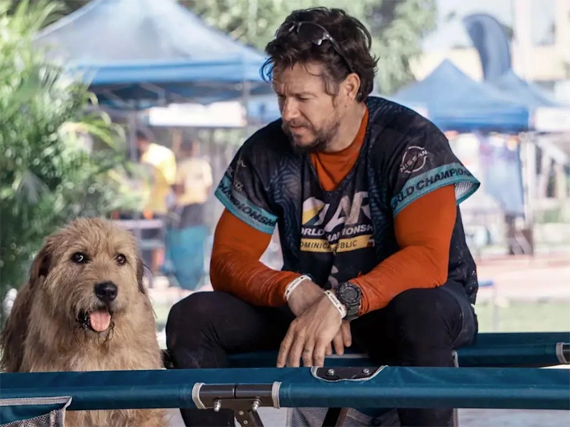 Filme "Uma Prova de Coragem": Redefinindo o Significado de Vencer 1 Cena do filme Uma Prova de Coragem