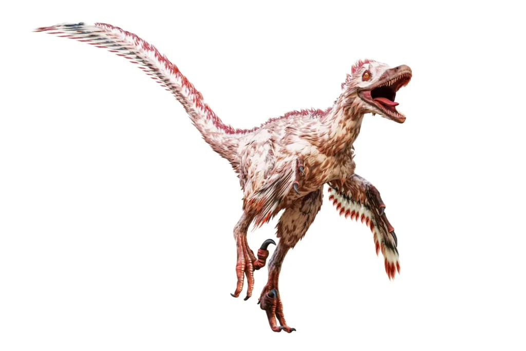 velociraptor com penas