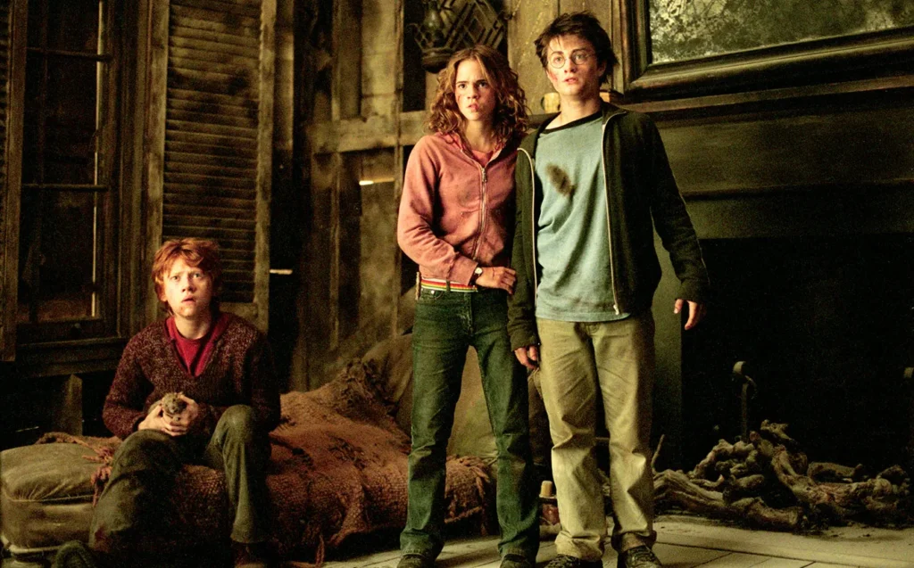 harry potter amizade