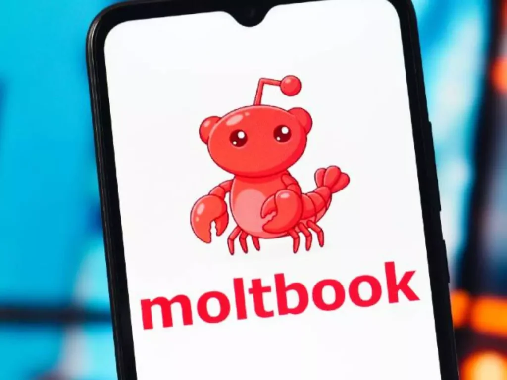 Moltbook: Entre Fascínio e Medo, a Rede Social das Máquinas 2 moltbook 2