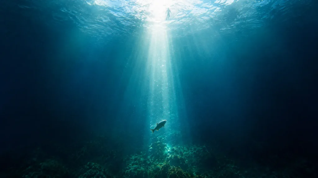 Peixe simbolizando profundidade, espiritualidade e autoconhecimento