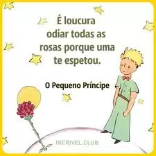 O Que o Pequeno Príncipe Nos Ensina? 4 images 2